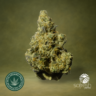 GMO sofresh farms