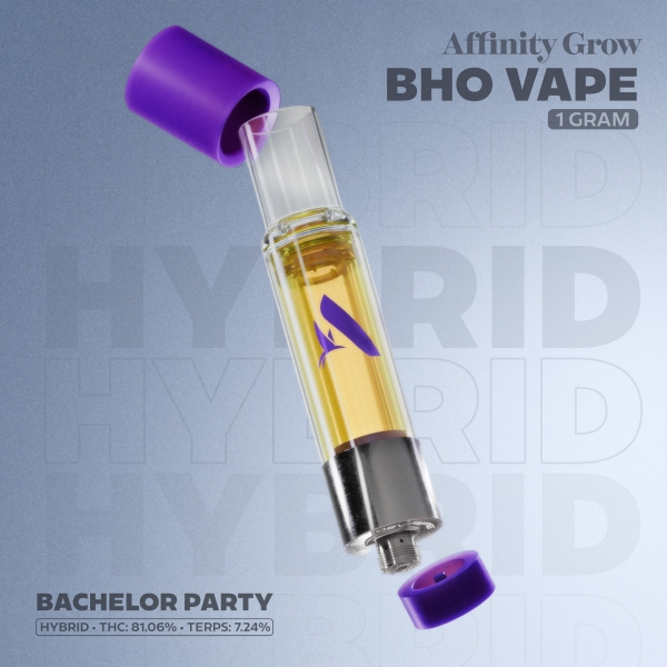 Bachelor Party BHO