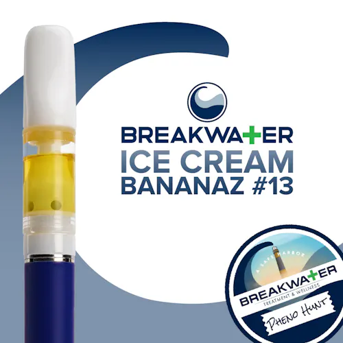 Ice Cream Bananaz #13 Breakwater