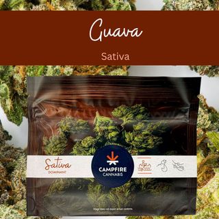 Guava Campfire Cannabis