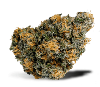 Blue Dream  sofresh farms