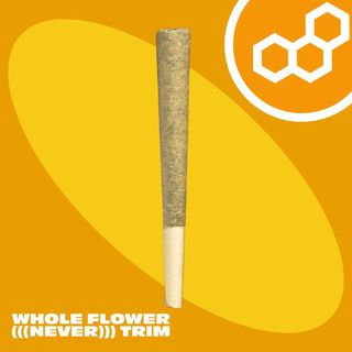 Grand Pappy's Chillemon Theraplant