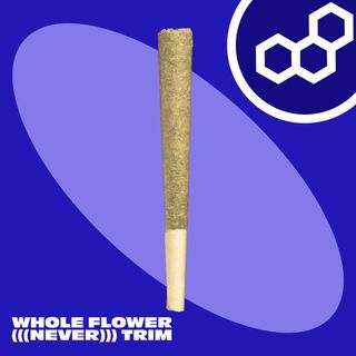 Wedding Cake Theraplant