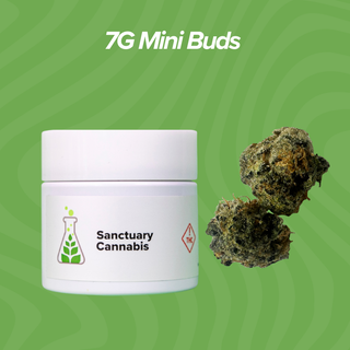 Cannabis Promo, Cannabis Sales, Cannabis Discounts, Cannabis on Sale, 7g Mini Buds $40 Each 3