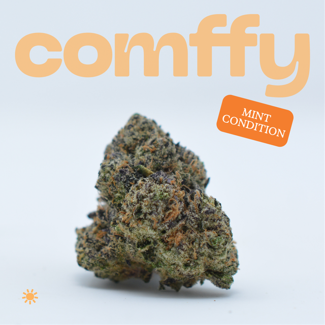 Mint Condition  comffy