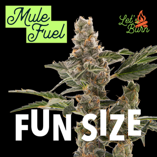 Mule Fuel Let's Burn