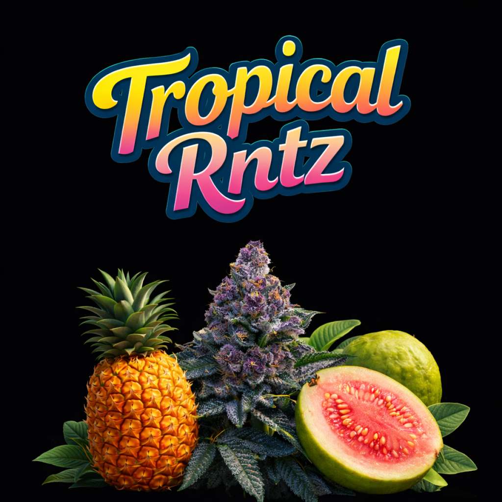 Tropical Runtz