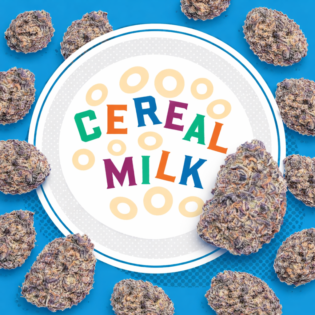 Cereal Milk