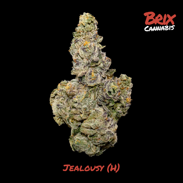 Jealousy Brix Cannabis
