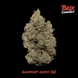 Govmint Oasis