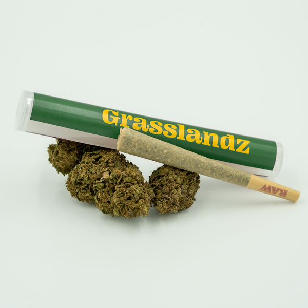 Blueberry Muffin Grasslandz