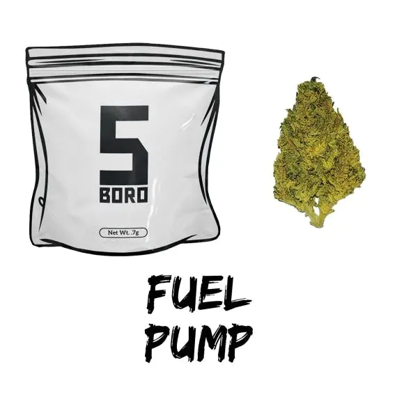 5 Boro: Fuel Pump