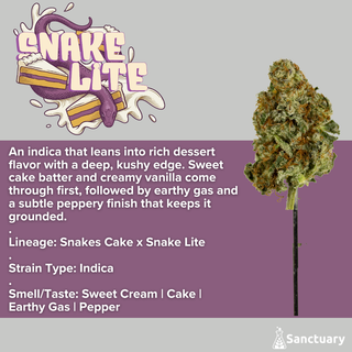 Snake Lite C Sanctuary