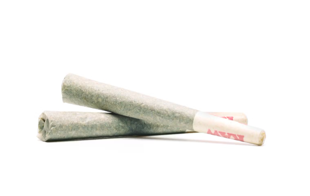 Pineapple Cake Oregrown