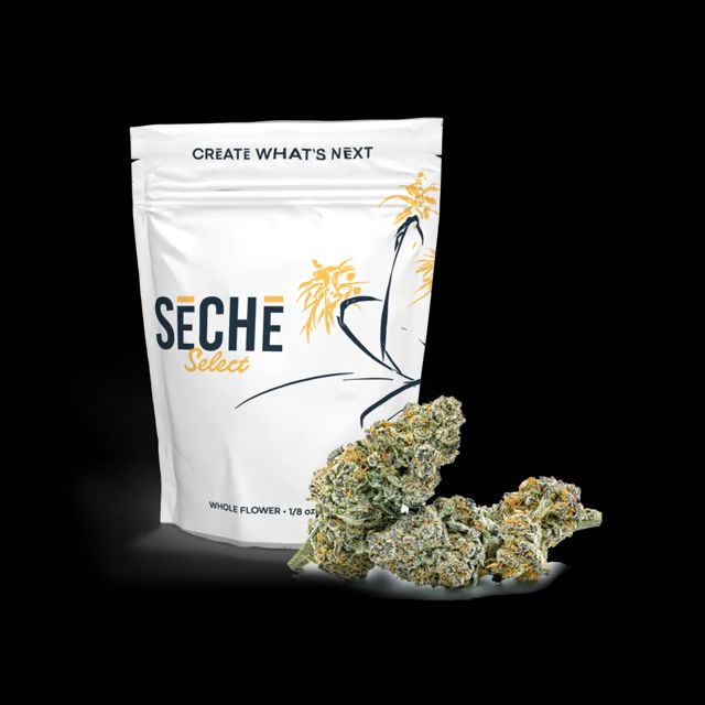 Purple Starfruit SeCHe Purple Starfruit SeCHe