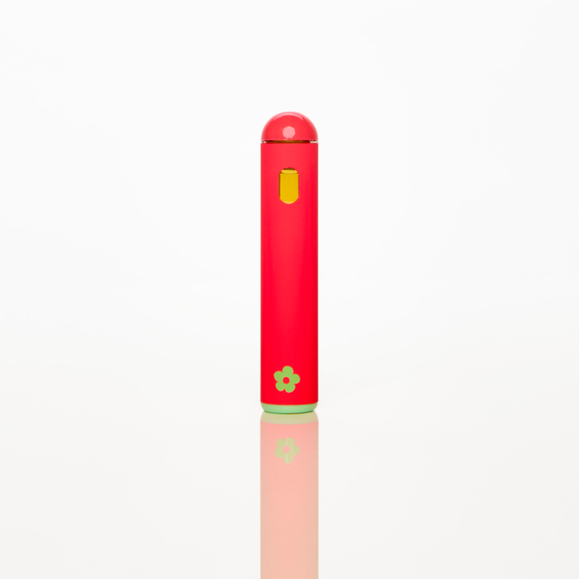 Lemon Watermelon Edie Parker