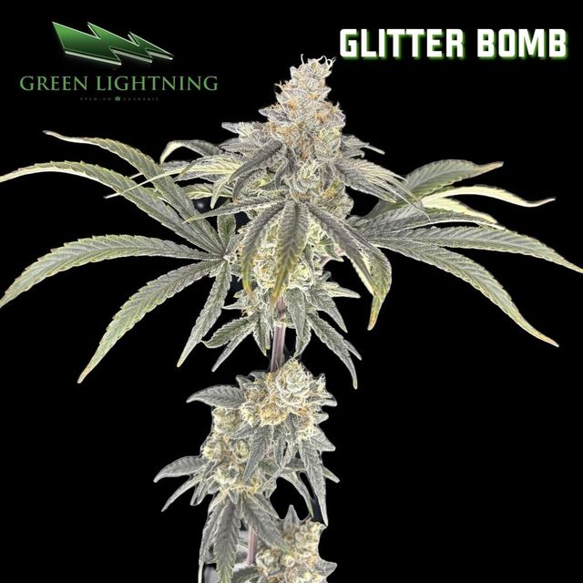 Glitter Bomb  Green Lightning
