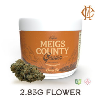 Black Maple  Meigs County