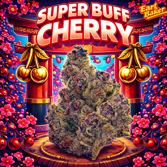 Super Buff Cherry Earl Baker
