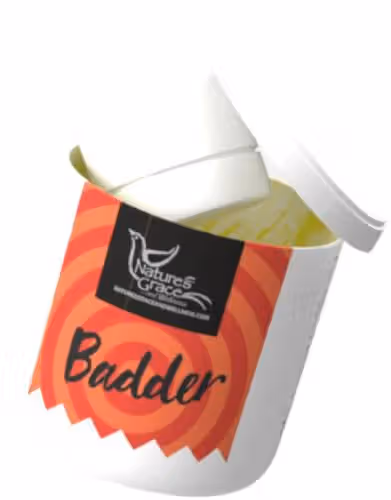 Rainbows at Night Nature's Grace and Wellness