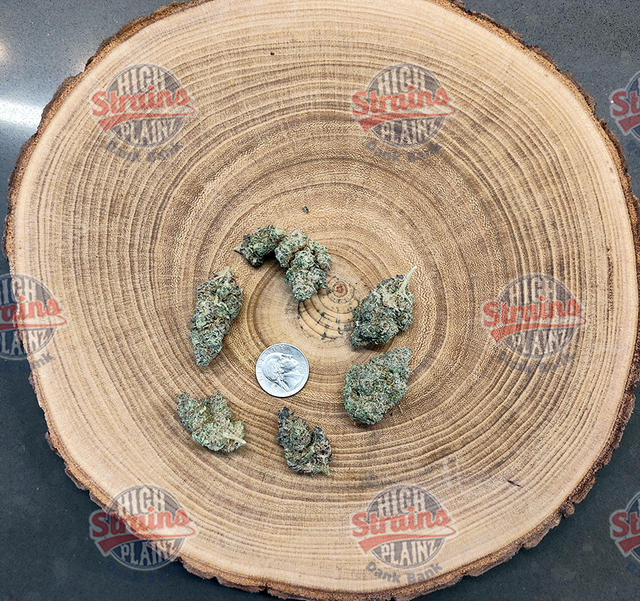 Grimm Truffle High Plainz