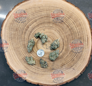Grimm Truffle High Plainz