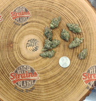 Super Boof High Plainz