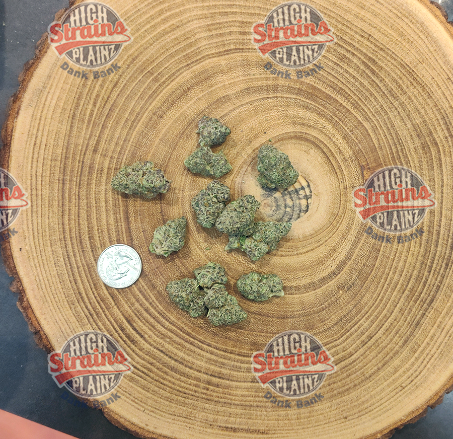 High Plainz Higher Shelf Rob Lucci Bulk
