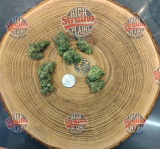 Goat Gas High Plainz