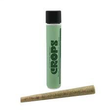 Secret Meetings  Crops 