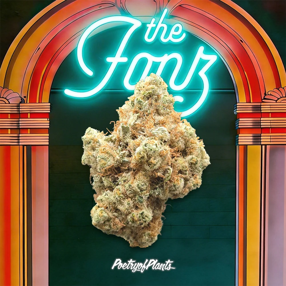 The Fonz Poetry Of Plants