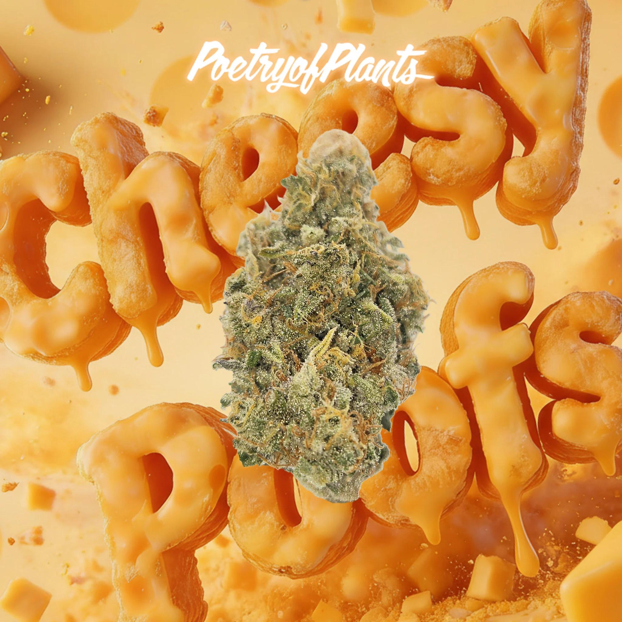 Cheesy Poofs Poetry Of Plants