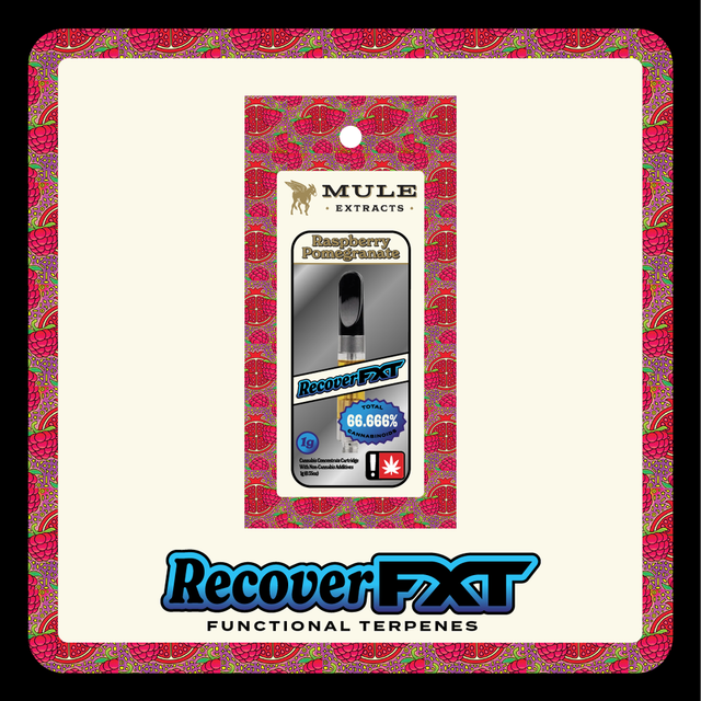 Raspberry Pomegranate Recover Mule Extracts FXT