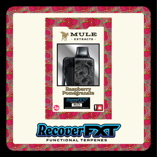 Raspberry Pomegranate Recover Mule Extracts FXT