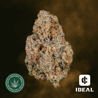 Super Boof (28.6% THC) Ideal Cannabis