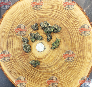 Beaver Cookies High Plainz