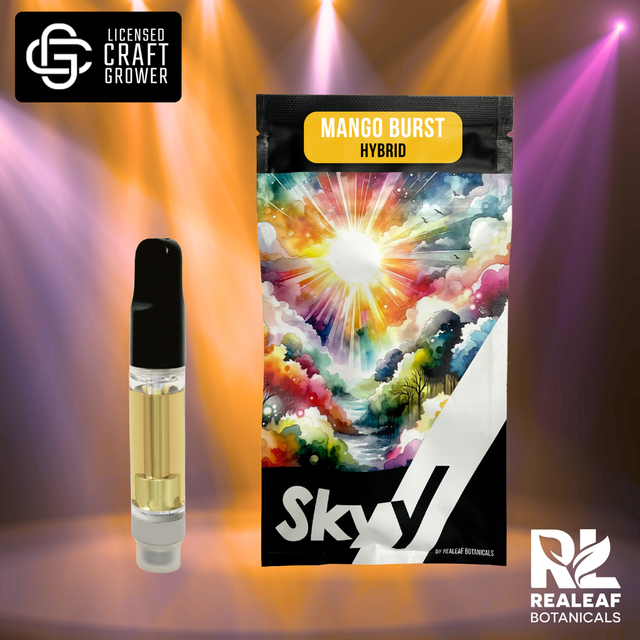 Mango Burst Skyy