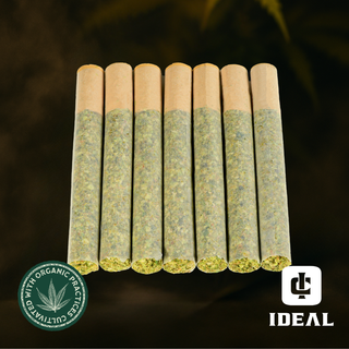 Chimera #4 Ideal Cannabis