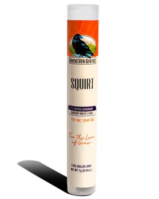 Squirt Ravens View Genetics