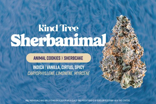 Sherbanimal Kind Tree