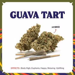 GAT Shaka