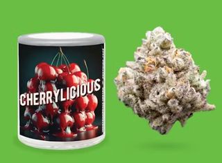  Cherrylicious  Blossom Flower