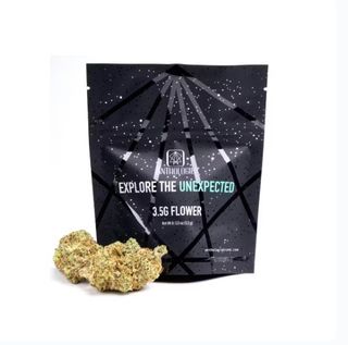 Blue Dream Anthologie