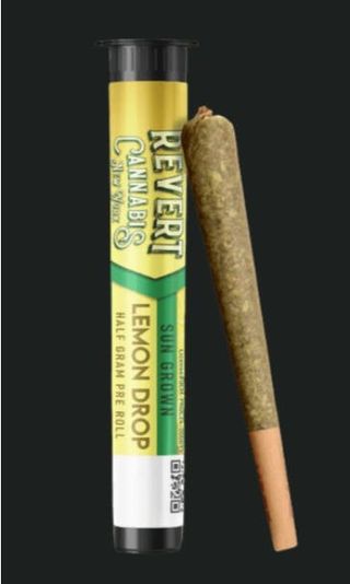 Lemon Drop Revert Cannabis