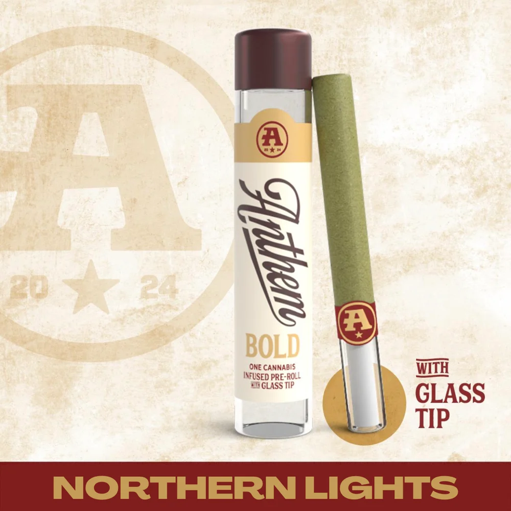 BOLD Northern Lights Anthem BOLD Northern Lights Anthem