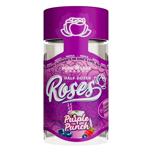 Purple Punch Roses Purple Punch Roses