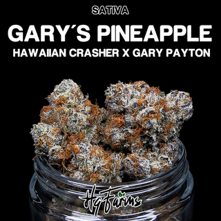 Gary's Pineapple  HQ Farms