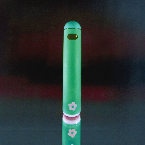 Golden Yuzu Le Freak Edie Parker