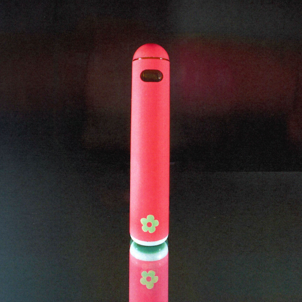 Passionfruit Angel Eyes Edie Parker