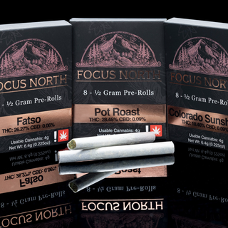 Man's Best Friend Focus North